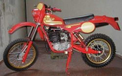 490gs1981